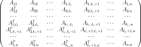 (                                                         )
     A11     A12    ⋅⋅⋅   A1,ℓ1     A1,ℓ1+1   ⋅⋅⋅    A1,n
||    AT12     A22    ⋅⋅⋅   A2,ℓ1     A2,ℓ1+1   ⋅⋅⋅    A2,n  ||
|    ⋅⋅⋅     ⋅⋅⋅    ⋅⋅⋅    ⋅⋅⋅       ⋅⋅⋅     ⋅⋅⋅    ⋅⋅⋅   |
||   AT       AT     ⋅⋅⋅   A        A         ⋅⋅⋅   A      ||
||    T1,ℓ1    T2,ℓ1          Tℓ1,ℓ1      ℓ1,ℓ1+1           ℓ1,n  ||
|  A 1,ℓ1+1  A2,ℓ1+1  ⋅⋅⋅  A ℓ1,ℓ1+1  A ℓ1+1,ℓ1+1  ⋅⋅⋅  A ℓ1+1,n |
(    ⋅⋅⋅     ⋅⋅⋅    ⋅⋅⋅    ⋅⋅⋅       ⋅⋅⋅     ⋅⋅⋅    ⋅⋅⋅   )
    AT1,n     AT2,n   ⋅⋅⋅   ATℓ,n    ATℓ +1,n   ⋅⋅⋅    An,n
                             1        1